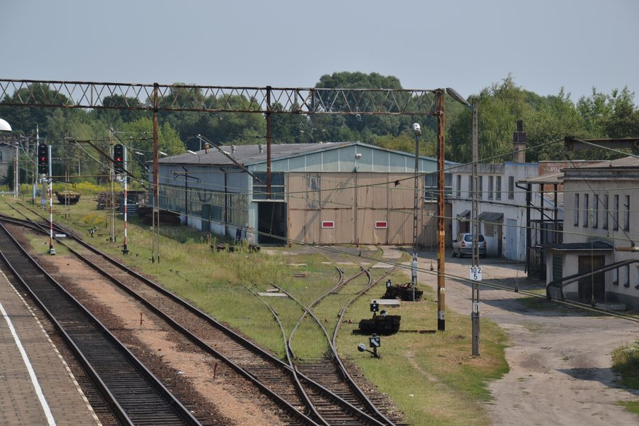 File:WK15 Kępno (16) Lichen99.jpg