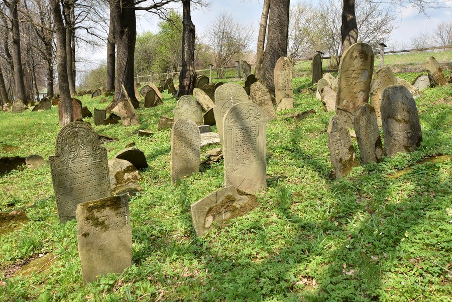 File:Nowy Żmigród, cmentarz żydowski (HB1).jpg