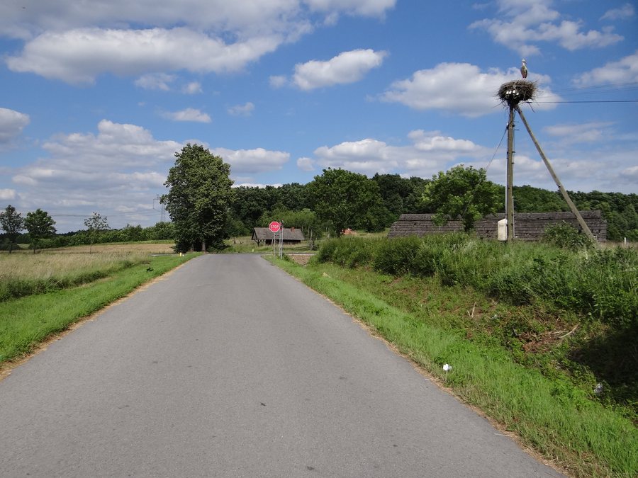 File:NIenadówka - bocianie gniazdo.jpg