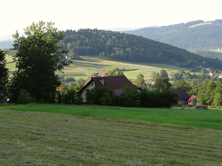 File:Pęczakówka BM4.jpg