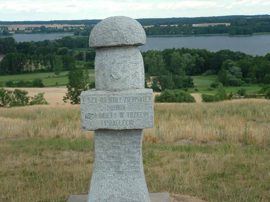 File:Pierwszy na świecie.jpg
