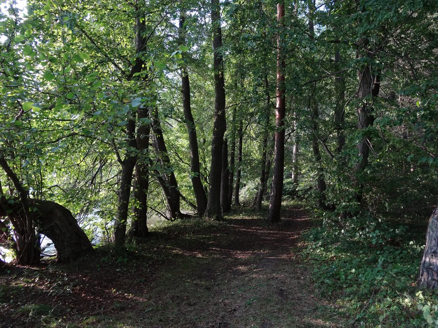 File:Gmina Piecki, Poland - panoramio (104).jpg