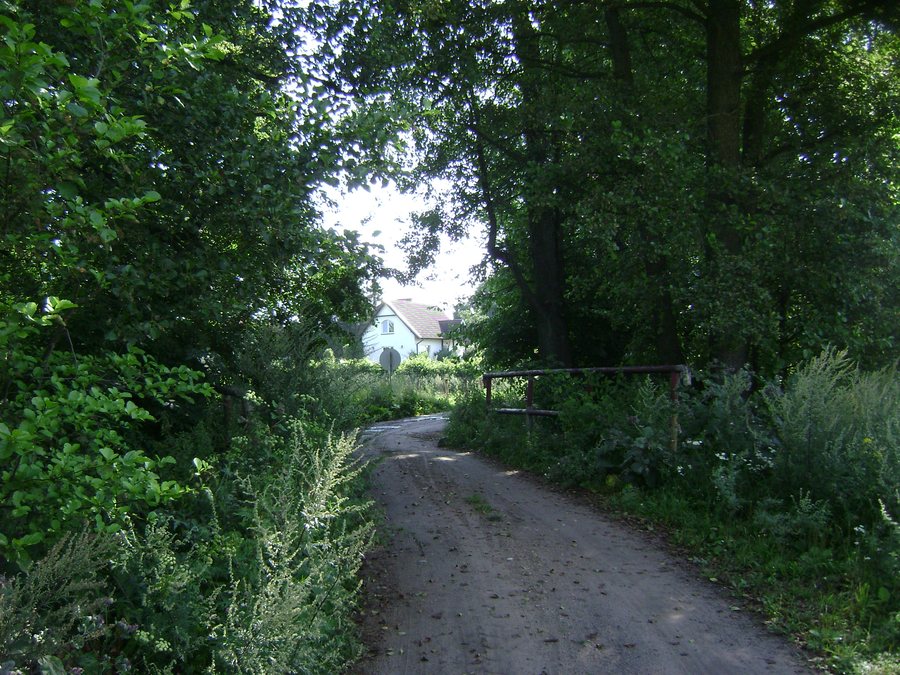 File:Poland. Gmina Szczytno. Sędańsk 003.JPG