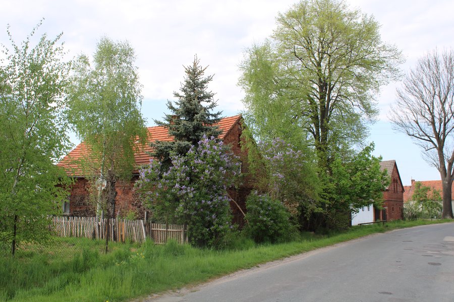 File:Brzezie 1.jpg