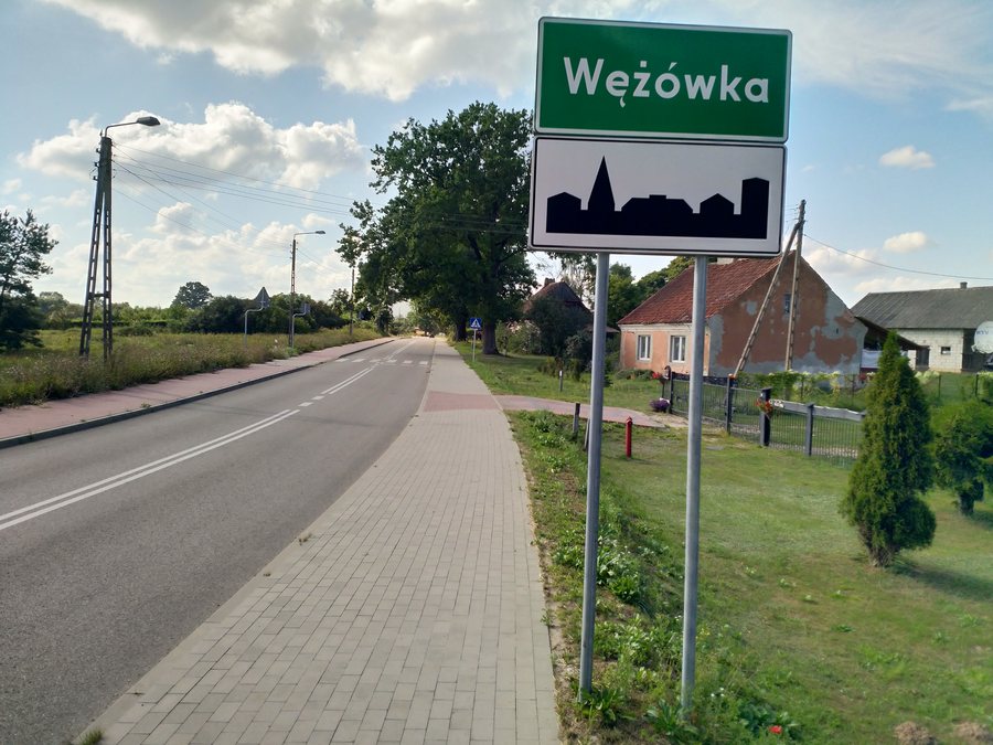 File:20240809 160148 Wężówka.jpg