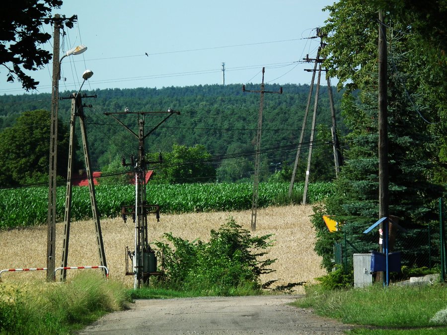 File:Berdychowo (gm. Oborniki).jpg