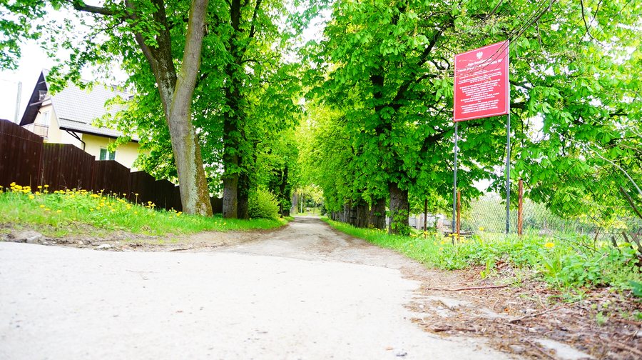File:Straszyn 20150509 0278.JPG