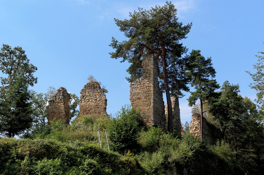 File:20170814 Górny zamek w Rożnowie 5266.jpg