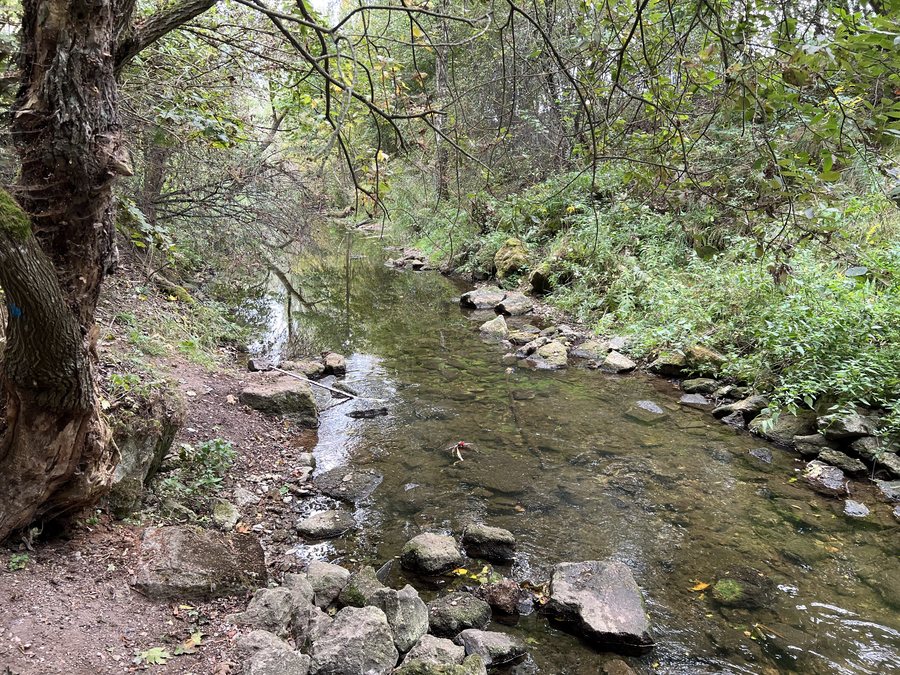 File:Kruklanki Sapina 1.jpg