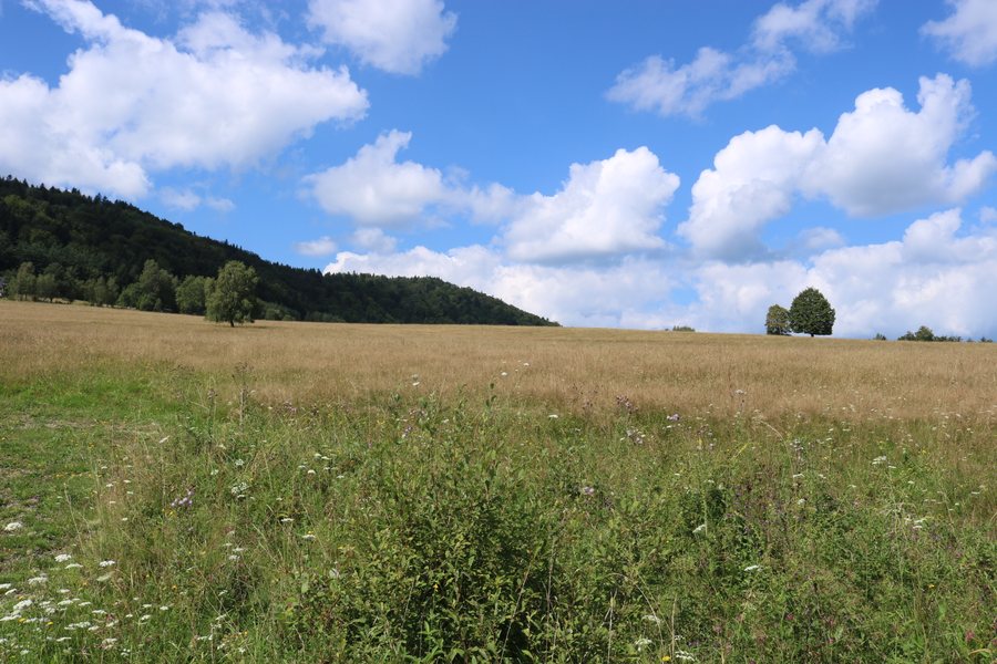 File:Ropki 1838.jpg
